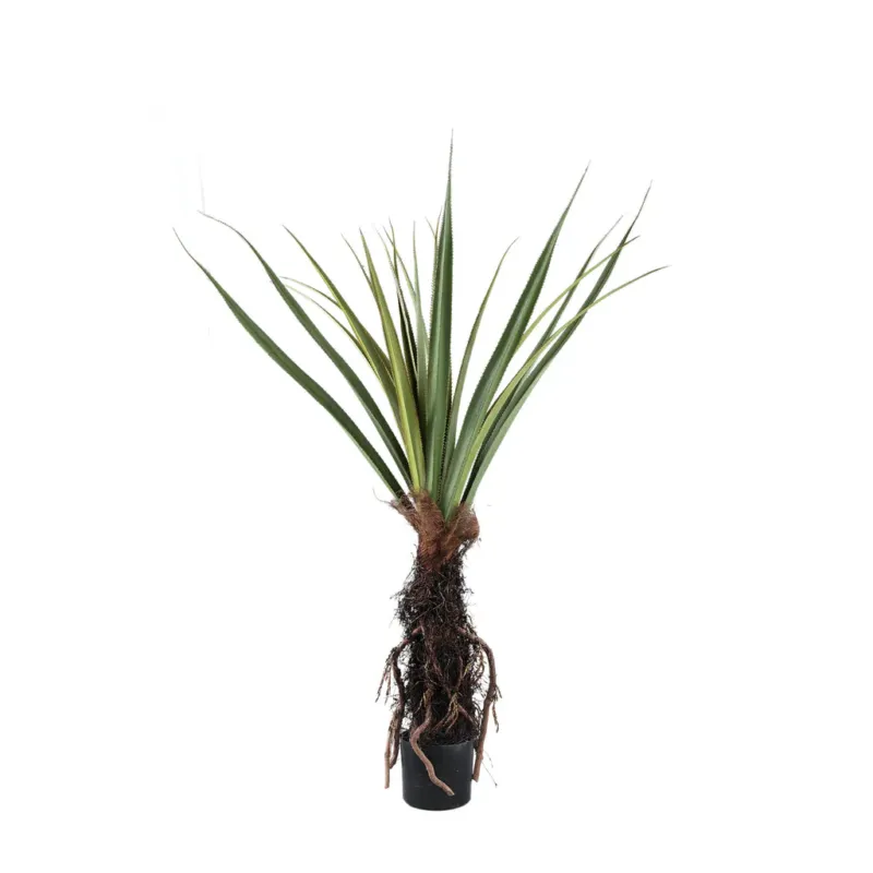 Finale Uitverkoop Tree Green Pandanus tree in pot 130x130x150cm PTMD
