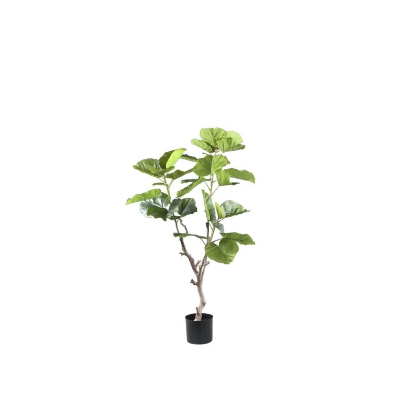 Tree Green Ficus Tree In Pot S 94x75x122cm PTMD Speciale Aanbieding