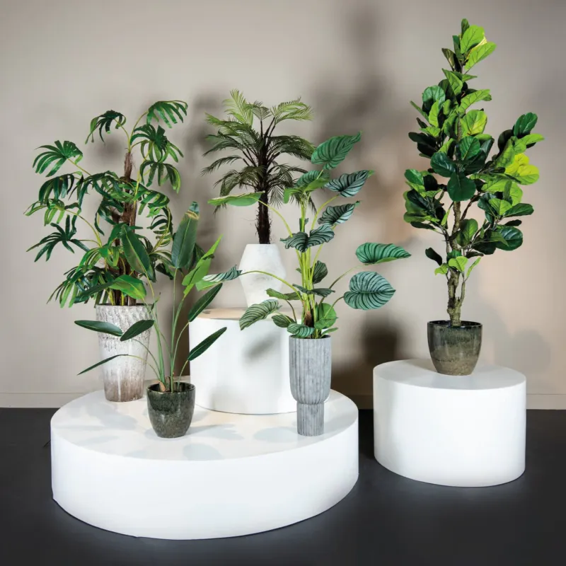 Tree Green Leaf Ravenala In Black Pot S 70x80x120cm PTMD Express Levering