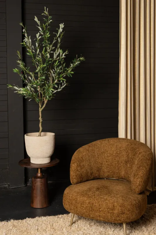 Direct Verzonden Tree Green Olive Tree In Pot L 110x70x156cm PTMD