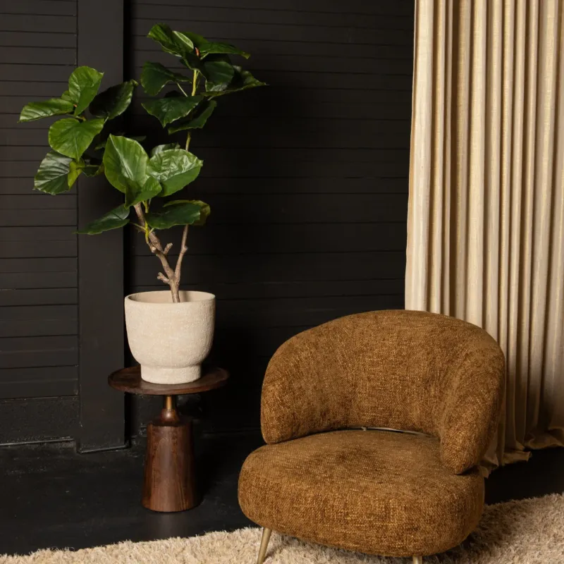 Tree Green Ficus Tree In Pot L 118x 85x183cm PTMD Korting