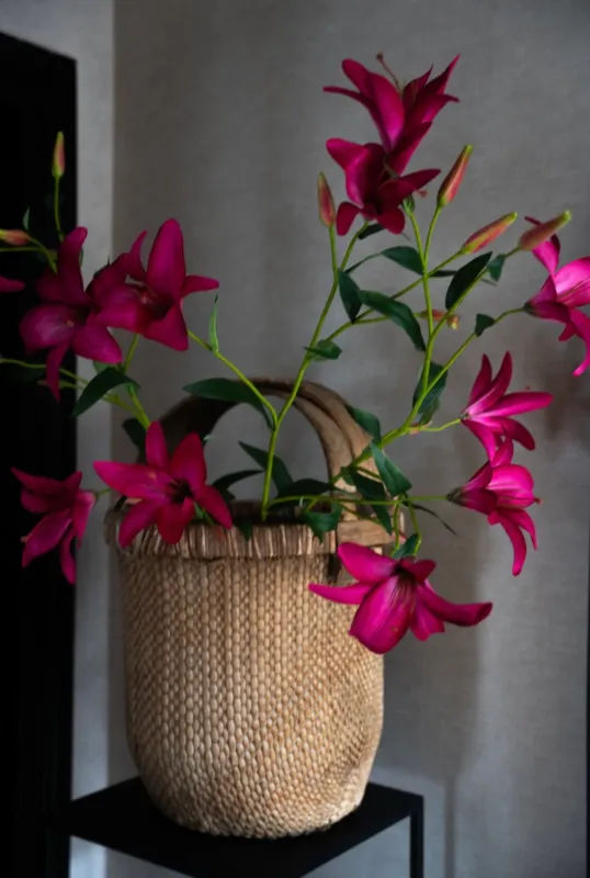 Aanbieding Oude Chinese plukmand