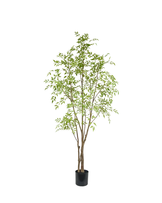 Nandina boom 210cm Express Levering