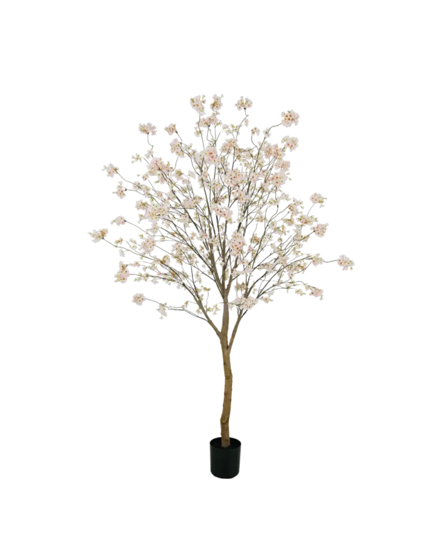 Bloesem boom roze 180cm Fabrieksprijs