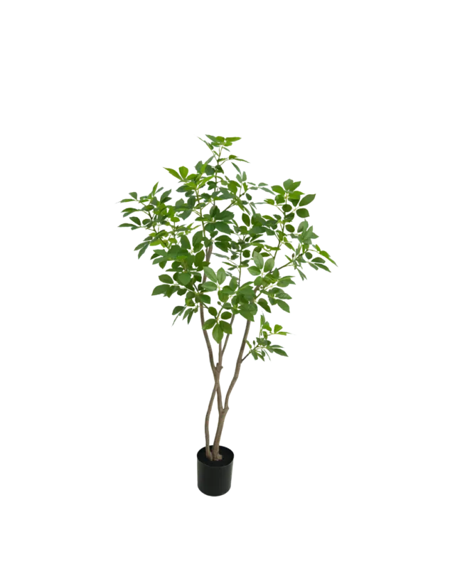 Tijdelijk Beschikbaar Trompet boom 150cm
