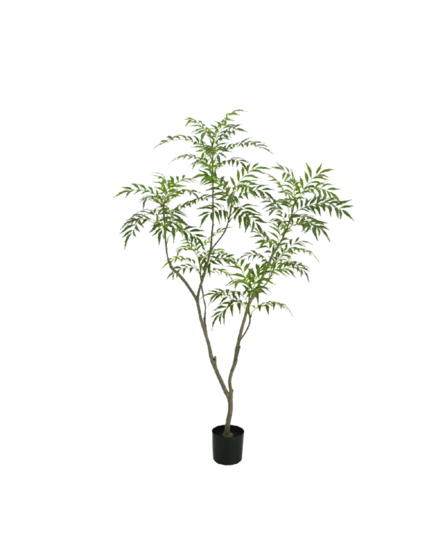 Goedkoop Bamboe boom 150cm