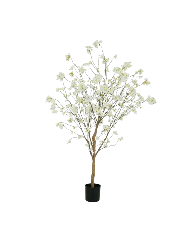 Bloesem boom crème 220cm Veilige Betaling