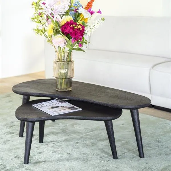 Actieprijs Salontafel Guus | Zwart Mangohout | Set van 2