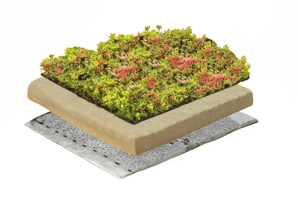 Favoriet Sedummat Groendak Lichtgewicht - Compleet Pakket