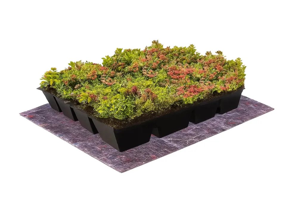 Exclusieve Aanbieding Sedum cassettes Groendak Lichtgewicht - Compleet Pakket