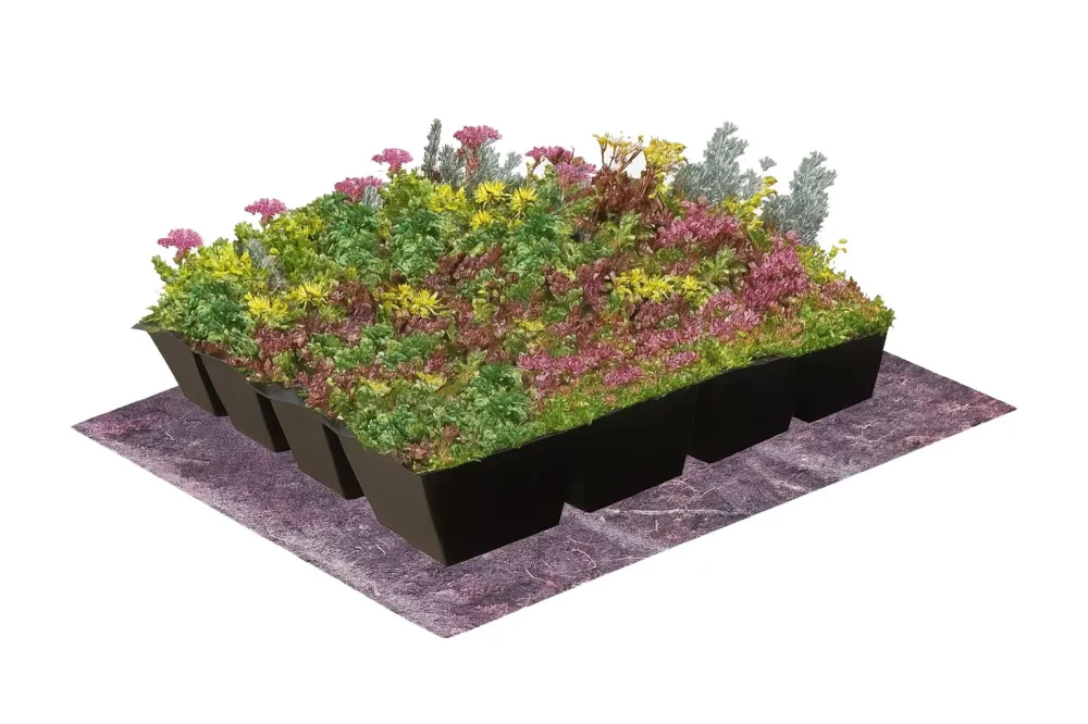 Snelle Levering Sedum cassettes Groendak Sedum-Kruidenmix - Compleet Pakket