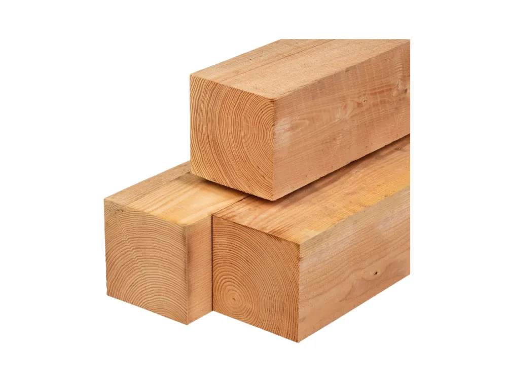 Paal Douglas 19x19cm Geschaafd & Gedroogd - 600 cm Betrouwbaar