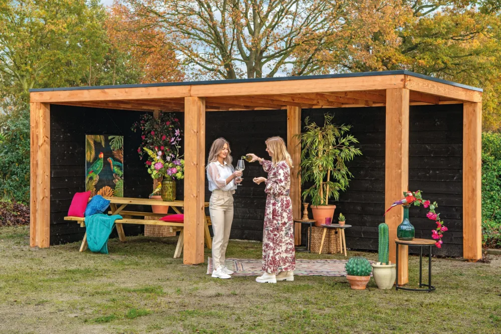 Must-Have Doe Het Zelf Overkapping Renesse 500x313cm - Doe het zelfbouw