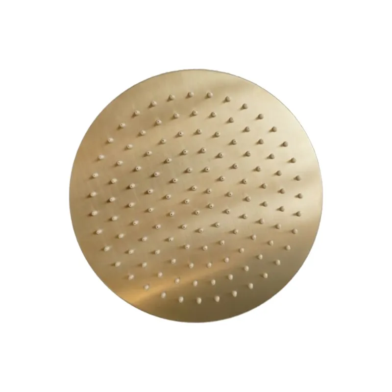 Koop Vandaag Hoofddouchekop Sanilux Disk Rond 20 cm Geborsteld Goud
