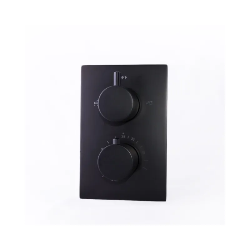 Beperkte Voorraad Douchekraan Inbouw Compleet Boss & Wessing Nero 20x13 cm Thermostatisch Mat Zwart
