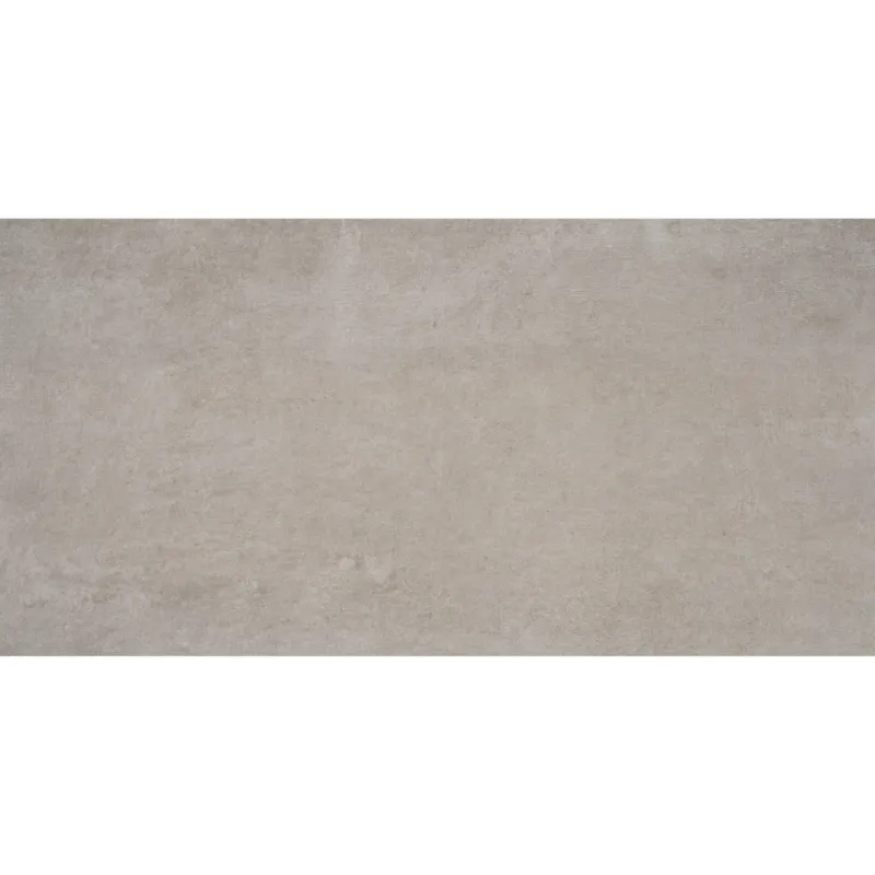 Vloertegel Alaplana P.E. Bonn Gerectificeerd 60x120 cm Mate Taupe (Prijs per M2) Populair