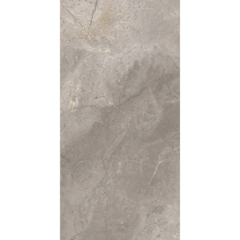 Fabrieksprijs Vloertegel TS-Tiles Stonemaster Silver 60x120 cm (doosinhoud 1.43m2) (prijs per m2)
