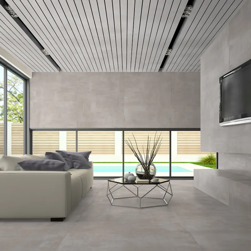 Exclusieve Aanbieding Vloertegel Energieker Concept 60X120 cm Greige (Doosinhoud 1,44M2) (prijs per m2)