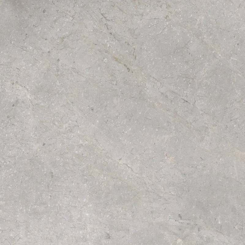 Vloertegel TS-Tiles Stonemaster Silver 60x60 cm (doosinhoud 1.43m2)(prijs per m2) Uitverkoop