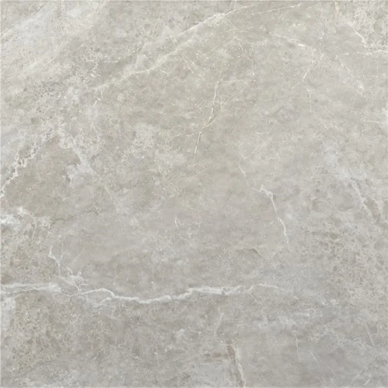 Merkproduct Vloertegel Alaplana P.E.Tenby Slipstop Grey 120x120 cm Grijs (doosinhoud 1.44m2) (prijs per m2)