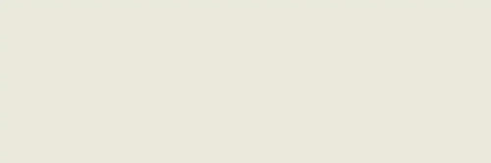 Navale Blaze wandtegel 120x40cm beige mat ongerectificeerd Meest Verkocht