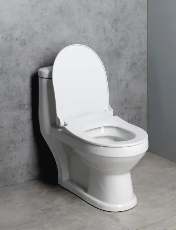 Express Levering Aqualine Petit staand kinder toilet met toiletzitting wit