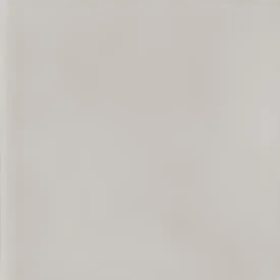 Laatste Kans Tegelsample Vtwonen Tegels Chop vloertegel bianco 10x10cm wit