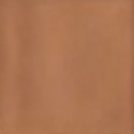 Tegelsample Vtwonen Tegels Chop vloertegel mattone 10x10cm terracotta Bestseller