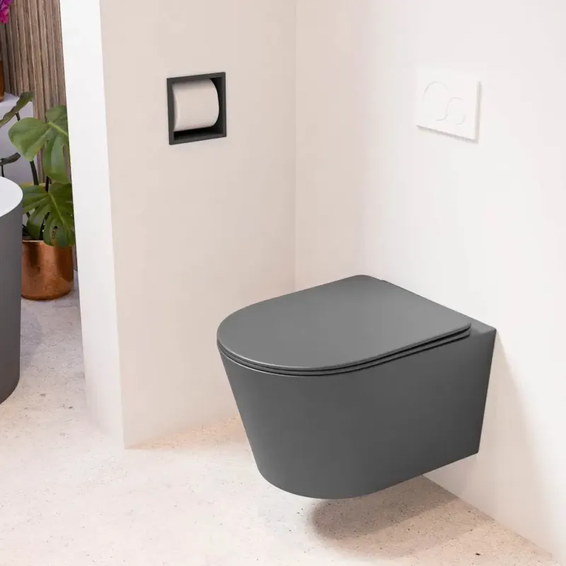 Alleen Vandaag Mondiaz Lavie toiletpot randloos met softclose zitting dark grey