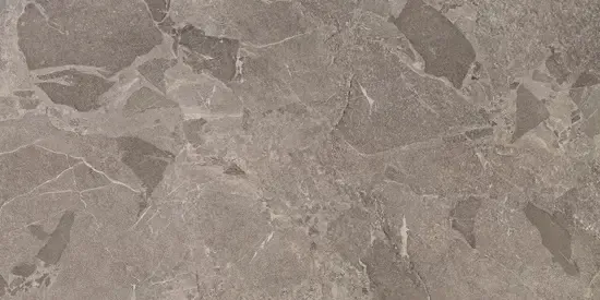 Vtwonen Tegels Flakes vloertegel 120x60cm grijs gerectificeerd Favoriet