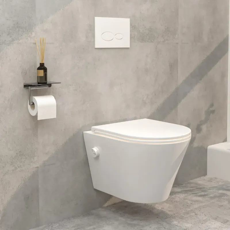 Beste Prijs Mueller Afesta randloos toiletpot met bidetsproeier koud en platte softclose zitting wit mat