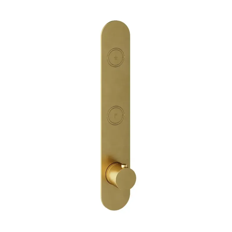 Hotbath Cobber Afbouwdeel thermostaat Verticaal met 2 push buttons Geborsteld Messing PVD PB066 Veilige Betaling