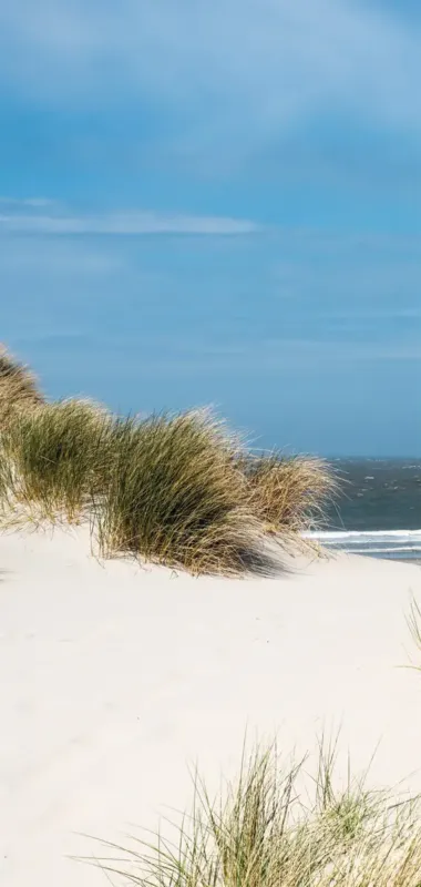 Merkproduct Badstuber Sanowall Noordzee links 125x250cm