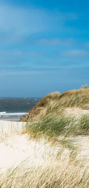 Superprijs Badstuber Sanowall Noordzee rechts 100x205cm
