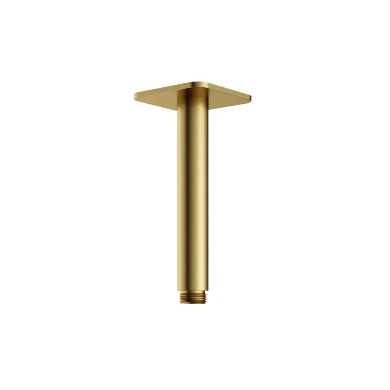 Exclusieve Aanbieding Hotbath Gal plafondbuis 15cm geborsteld messing PVD