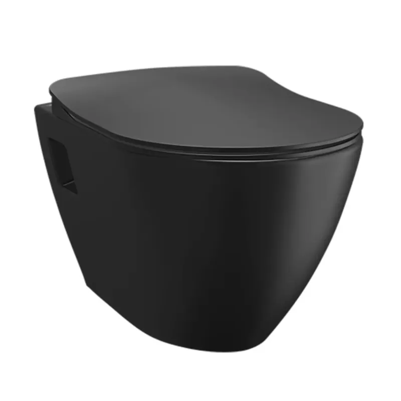 Favoriet Sanigoods Merano wandcloset met bidet sproeier zwart mat